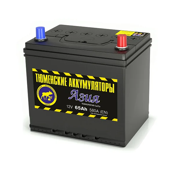 Аккумулятор ТЮМЕНСКИЕ АККУМУЛЯТОРЫ Asia 65 Ач 580 А (EN), обратная полярность, D23