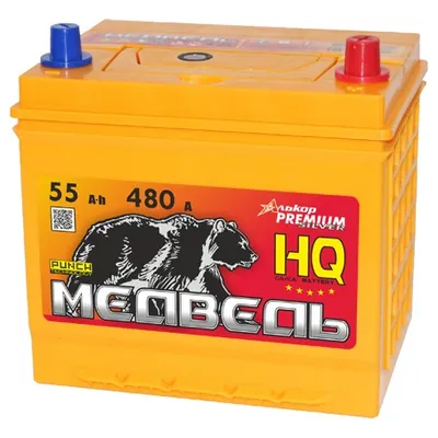 Аккумулятор МЕДВЕДЬ PUNCH 55 Ач 480 А (EN), обратная полярность, B24