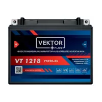Аккумулятор VEKTOR PLUS 18 Ач 270 А, обратная полярность, YTX20